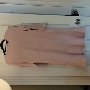 NWT Ann Taylor Pink Dress Size 16p